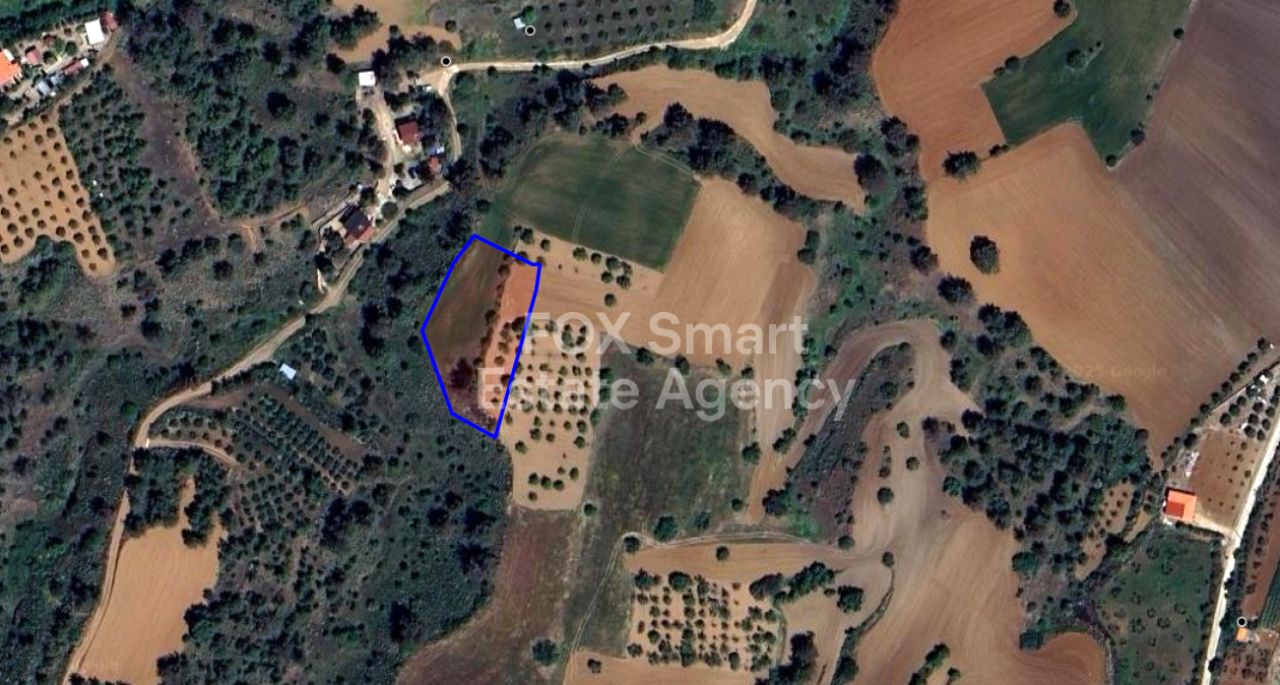 Thumbnail 1 Proprietà 2600 Klirou, Nicosia / 41858