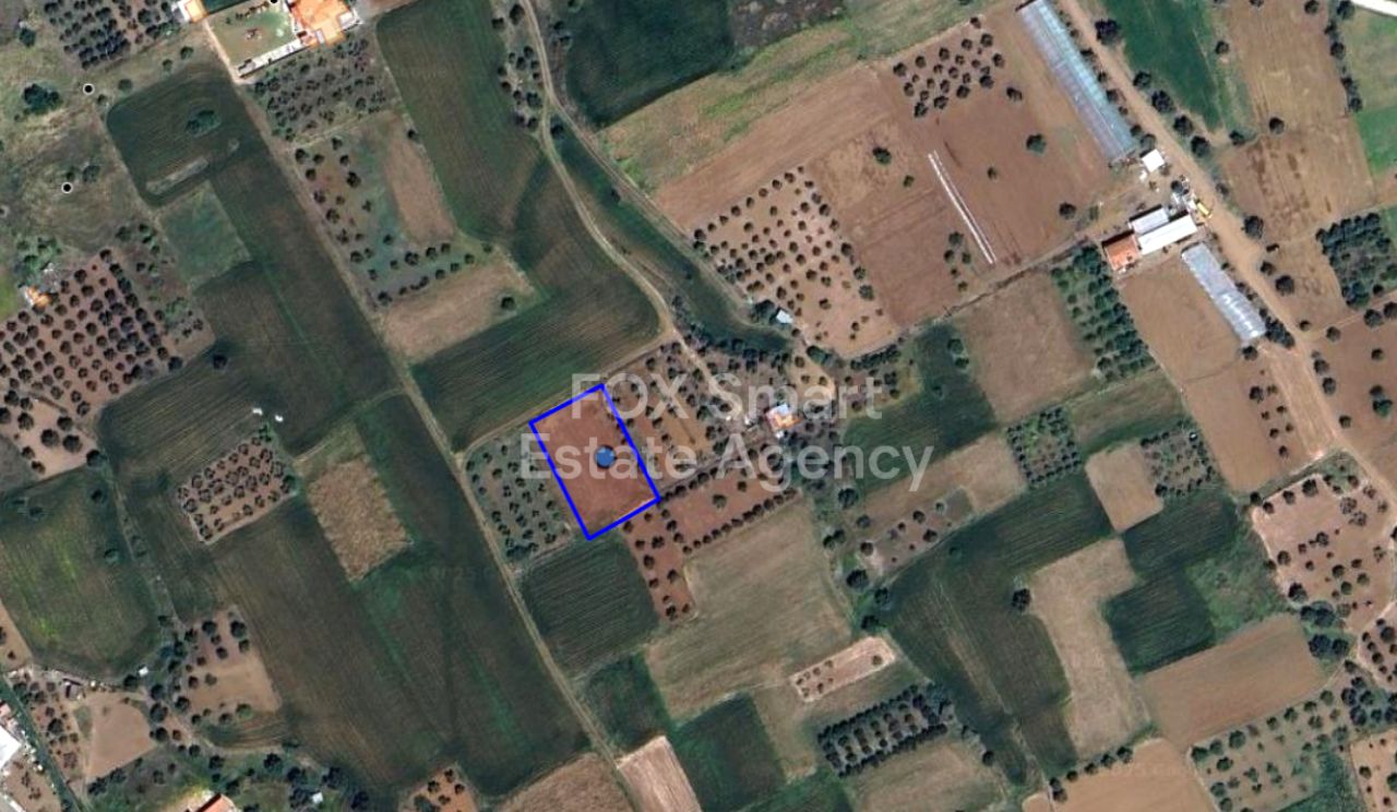 Thumbnail 1 47482 / נכס 2600 קלירו, ניקוסיה