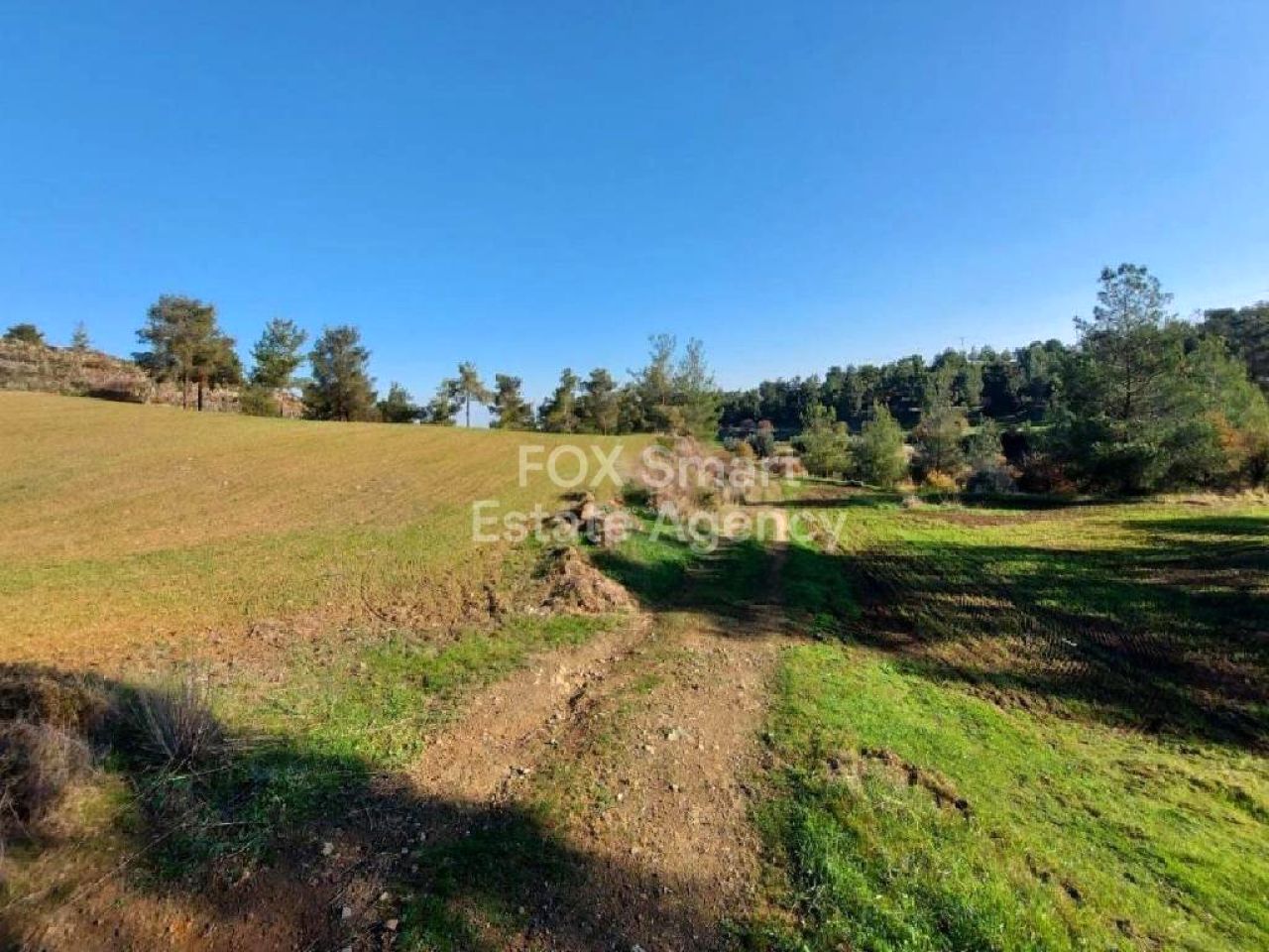 Thumbnail 3 房地产 2600 Klirou, 尼科西亚 / 47482