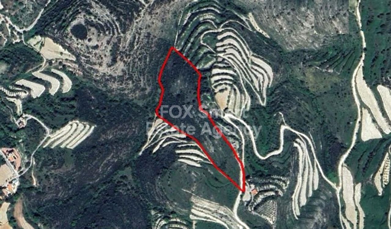 Thumbnail 1 房地产 8543 Koili, 帕福斯 / LIM-PAF-6243