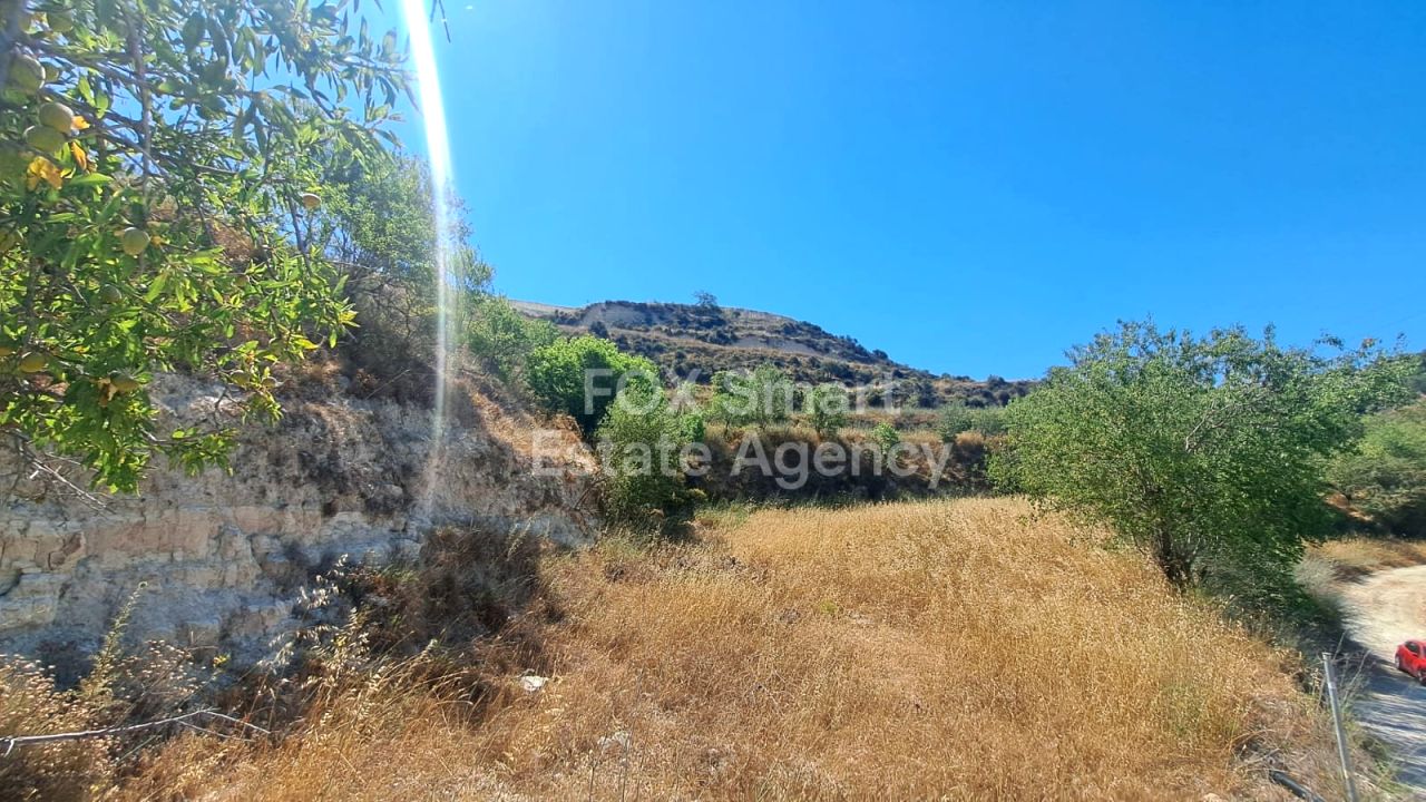 Ακίνητο 53848 Τσάδα, Πάφος / LIM-PAF-31255