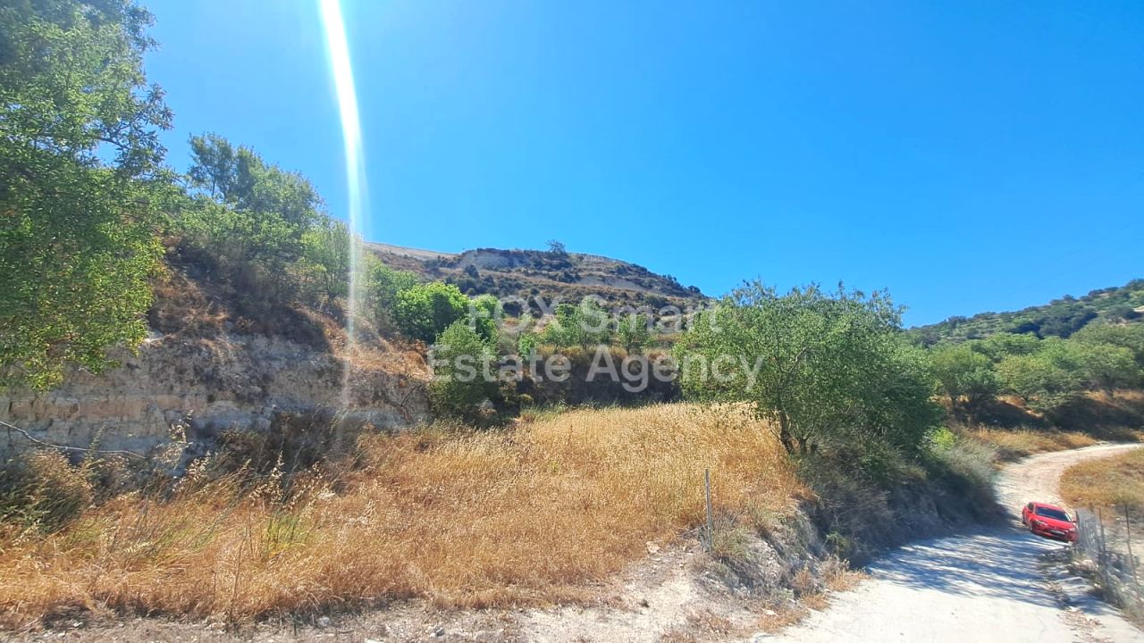 Ακίνητο 53848 Τσάδα, Πάφος / LIM-PAF-31255