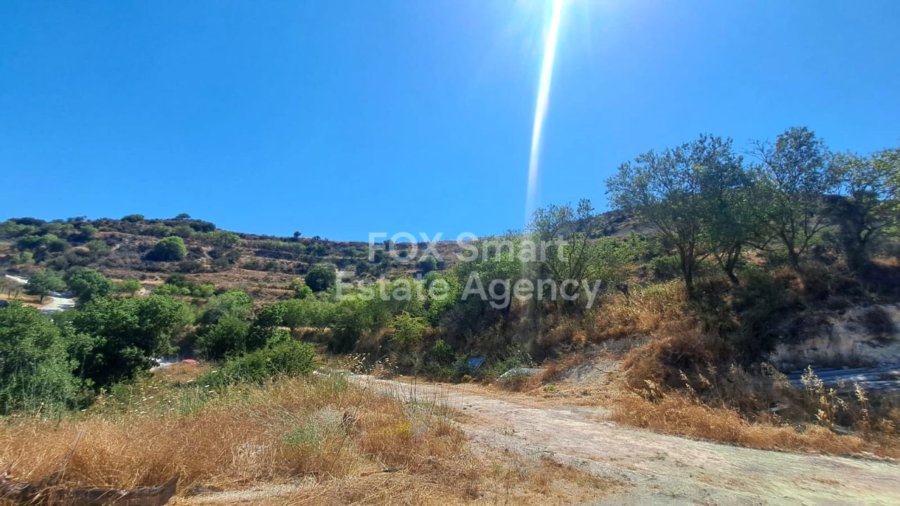 Ακίνητο 53848 Τσάδα, Πάφος / LIM-PAF-31255