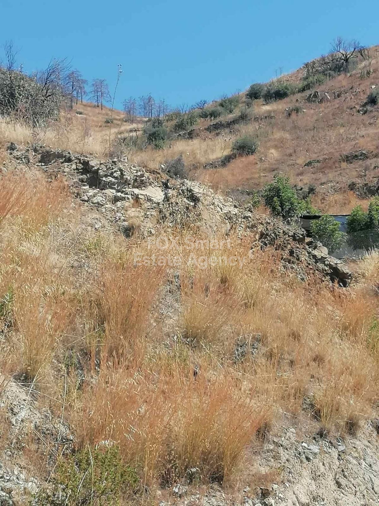 Thumbnail 1 Ακίνητα 7716 Μελίνη, Λάρνακα / LIM-PAF-16911