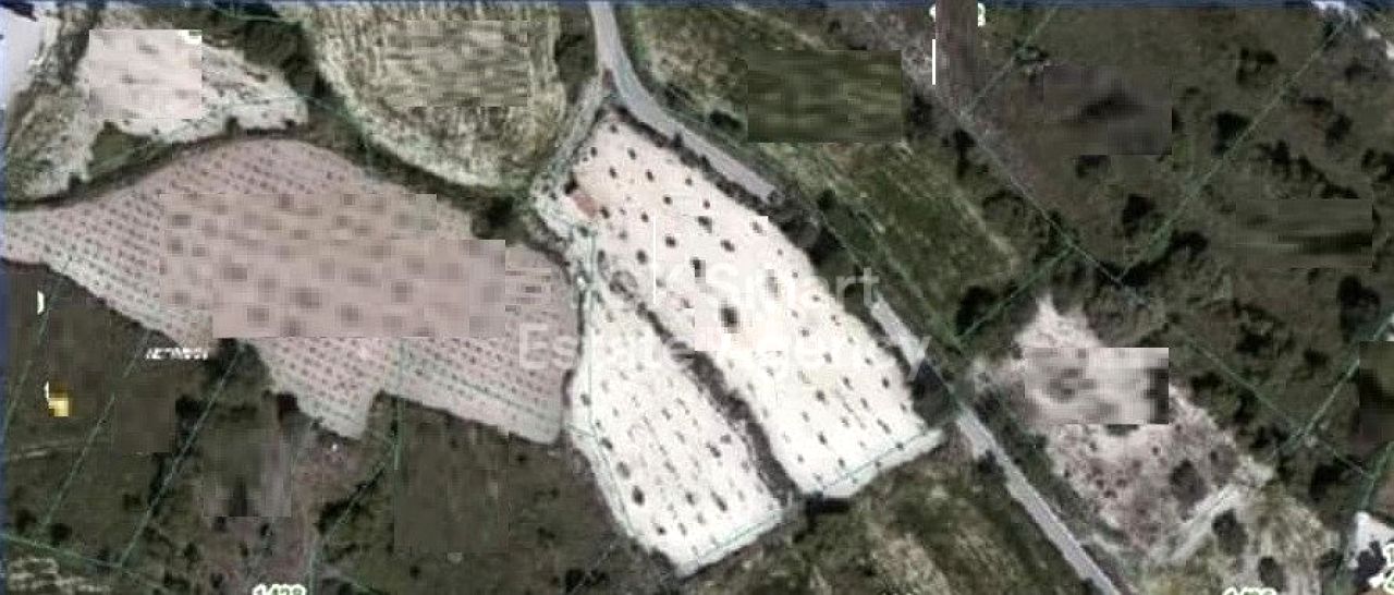 Nieruchomość 59013 Letymvou, Pafos / LIM-PAF-33465