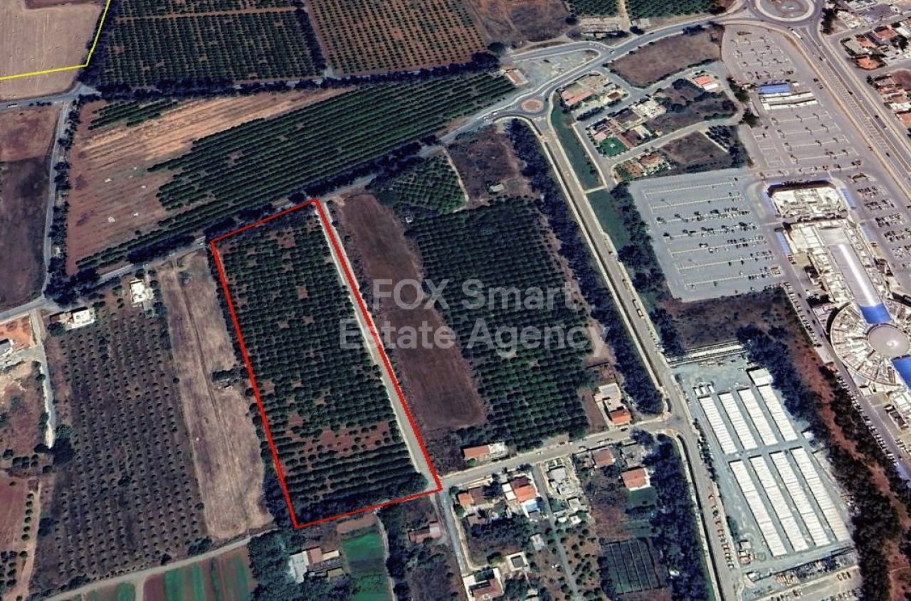 Объект недвижимости 38709 Мансура, Никосия / LIM-PAF-25397