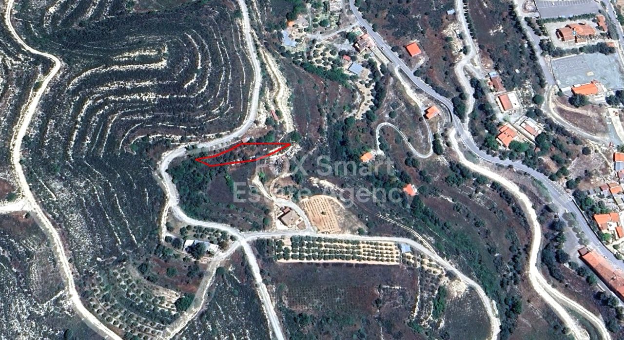 Thumbnail 2 LIM-PAF-32568 / נכס 3101 לימסול