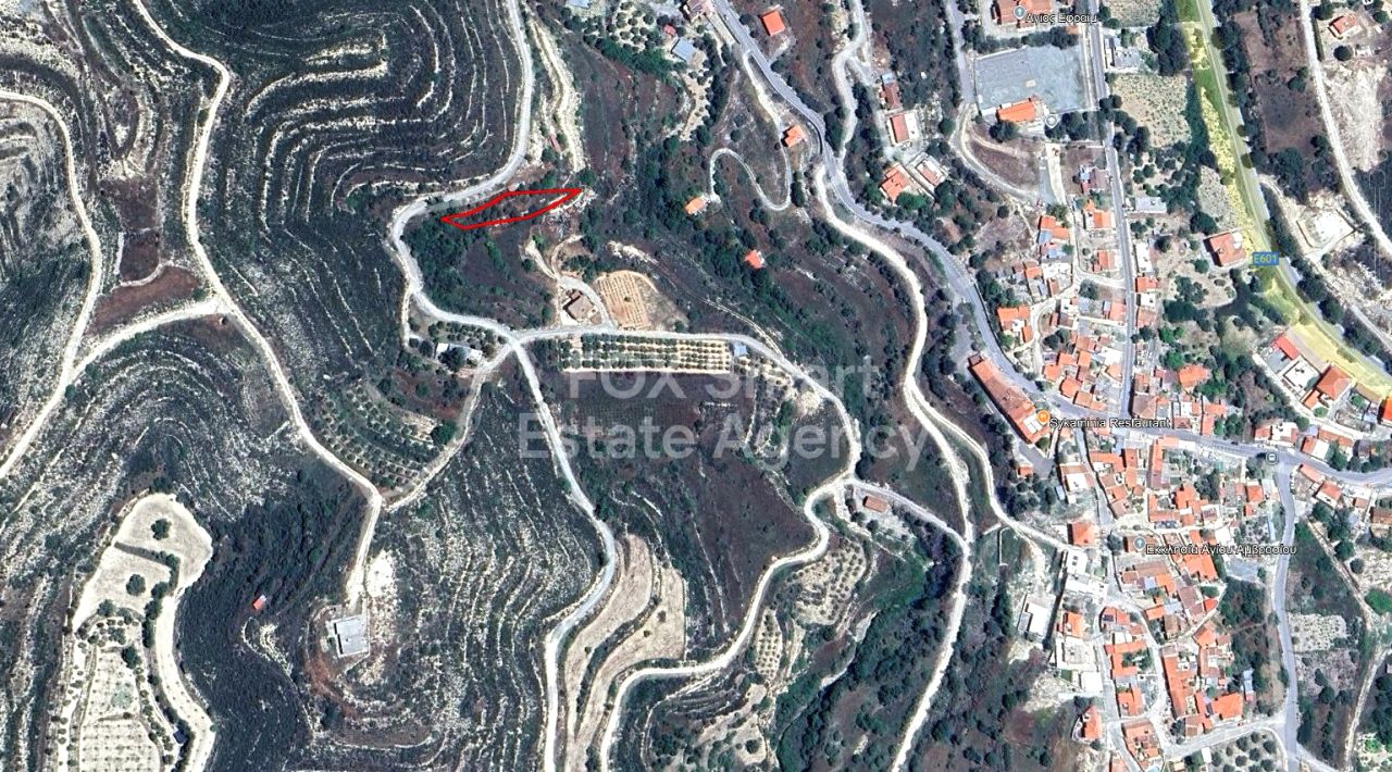 Thumbnail 1 LIM-PAF-32568 / נכס 3101 לימסול