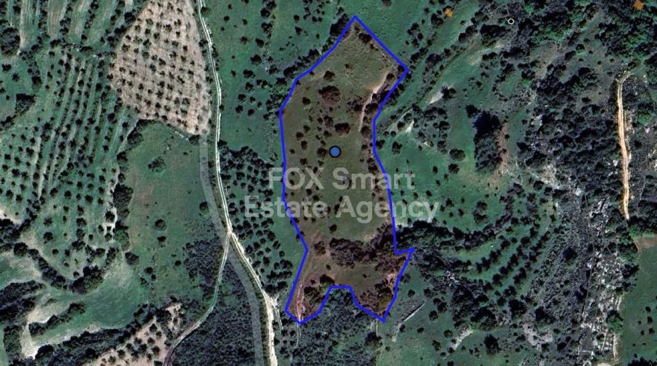 Объект недвижимости 44156 Лисос, Пафос / LIM-PAF-26967