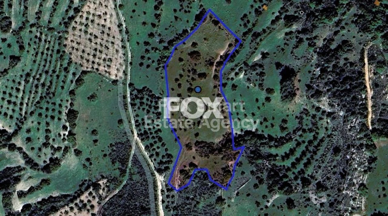 房产 44183 Lysos, 帕福斯 / LIM-PAF-26975