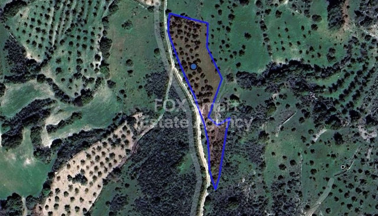 Property 44187 Lysos, Paphos / LIM-PAF-26971