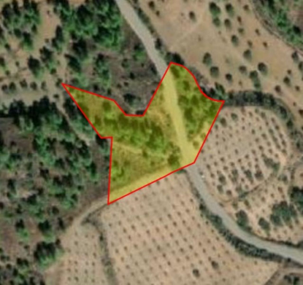 Ακίνητο 12457 Λυθροδόντας, Λευκωσία / L-116969