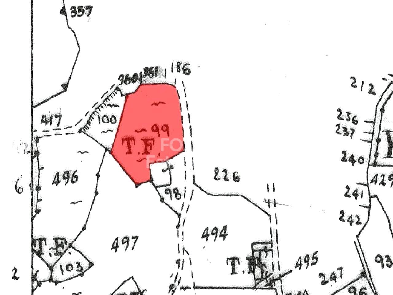 Thumbnail 3 LIM-PAF-7429 / נכס 8524 אפיסקופי, פאפוס