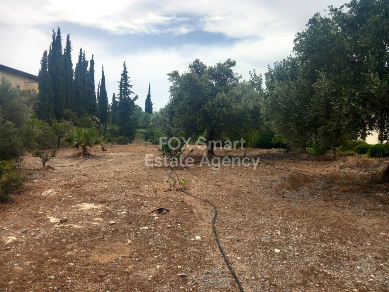 Immobilie 54436 Mansoura, Nikosia / LIM-PAF-31509