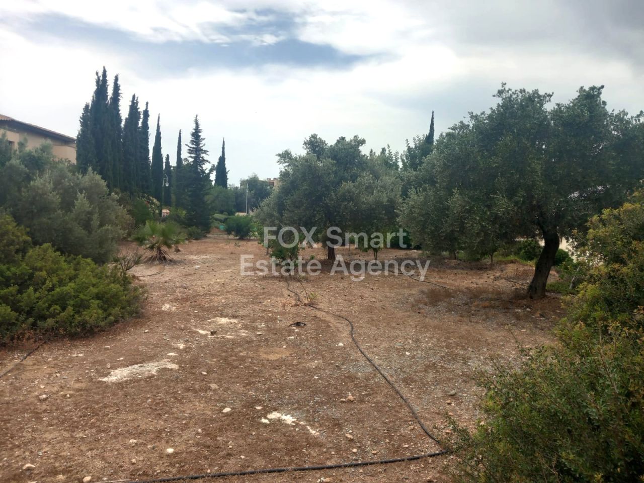 Immobilie 54436 Mansoura, Nikosia / LIM-PAF-31509