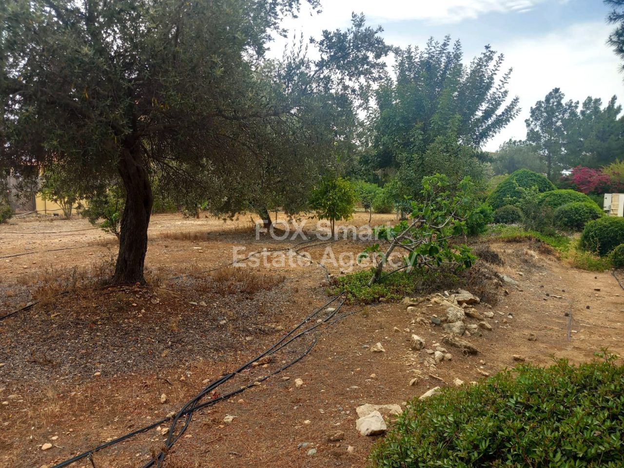 Immobilie 54436 Mansoura, Nikosia / LIM-PAF-31509