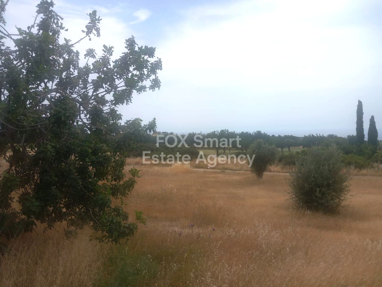 Immobilie 54439 Mansoura, Nikosia / LIM-PAF-31510