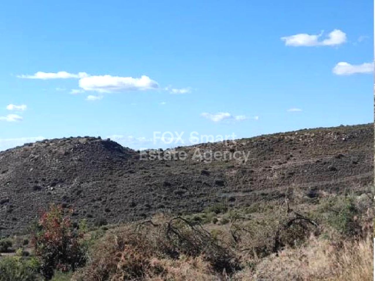 Thumbnail 1 Property 2958 Mansoura, Nicosia / LIM-PAF-32474