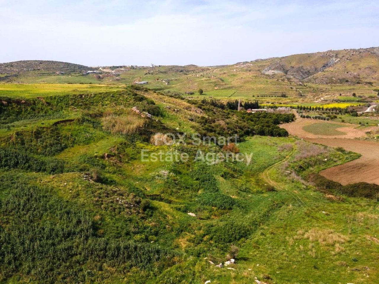 Thumbnail 3 Propiedad 2958 Mansoura, Nicosia / LIM-PAF-32871