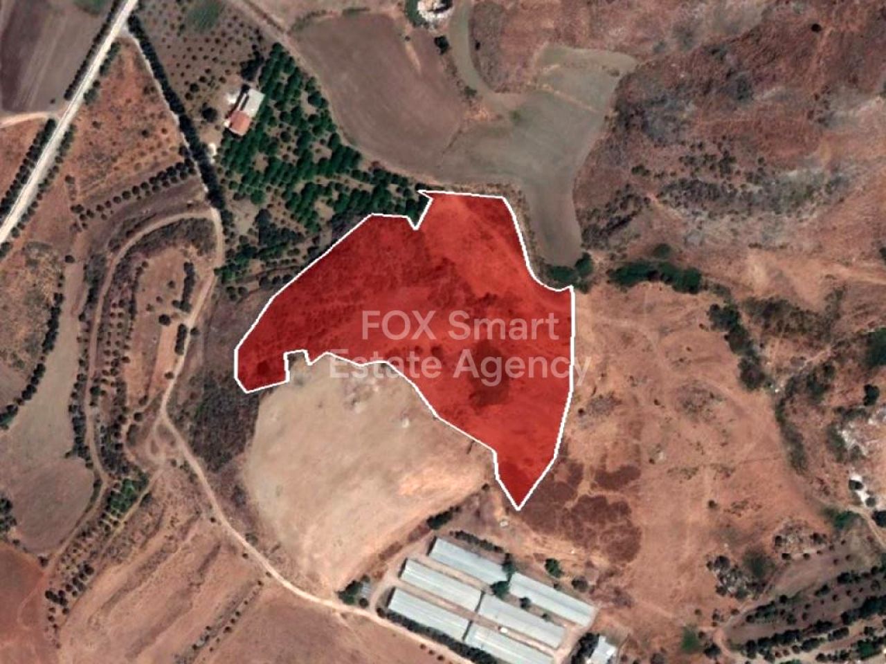 Thumbnail 5 Propiedad 2958 Mansoura, Nicosia / LIM-PAF-32871