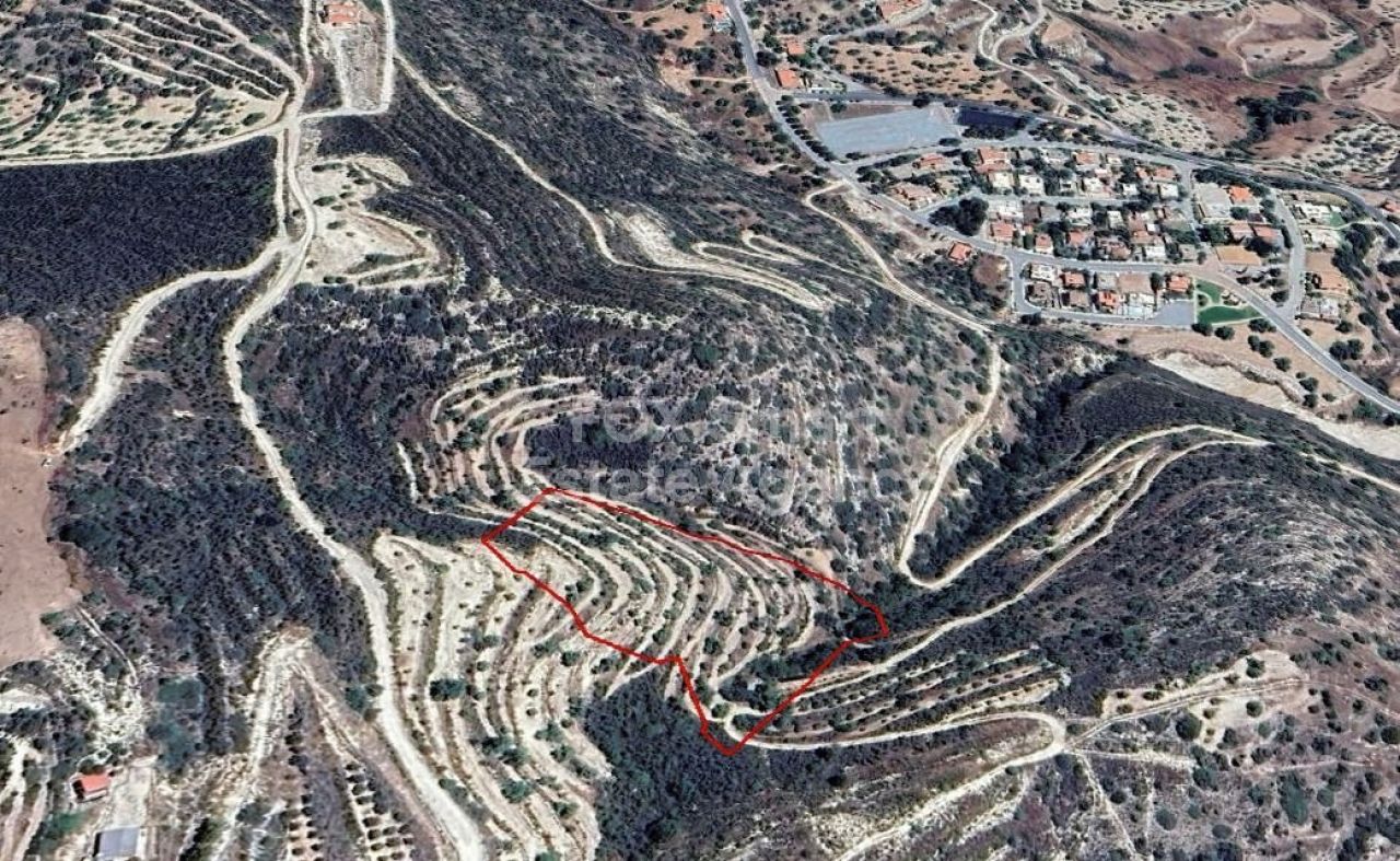 Thumbnail 1 Property 4522 Akrounta, Limassol / LIM-PAF-12170