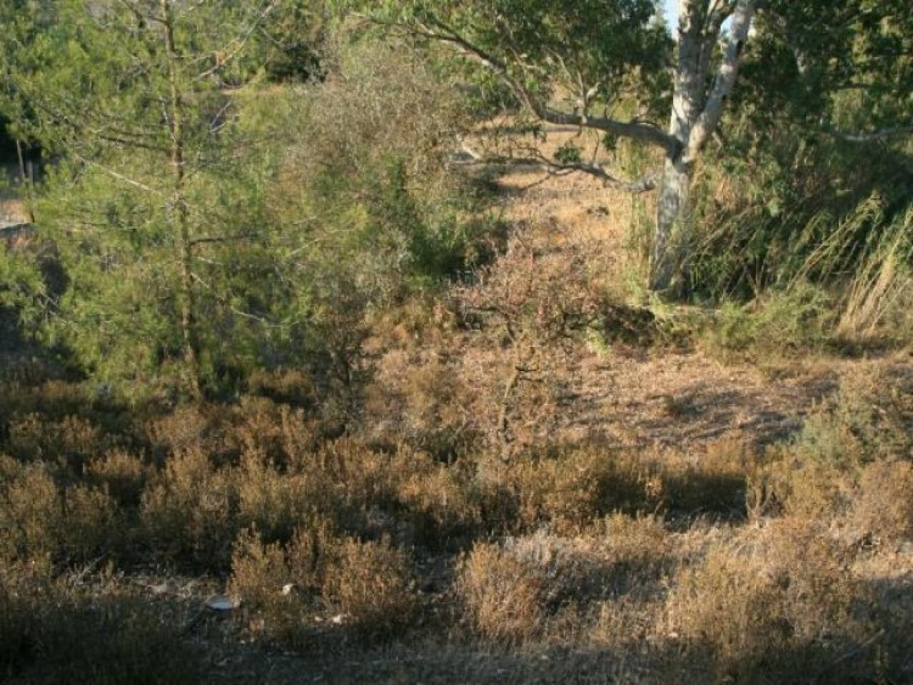 房产 9598 Mitsero, 尼科西亚 / L-65694