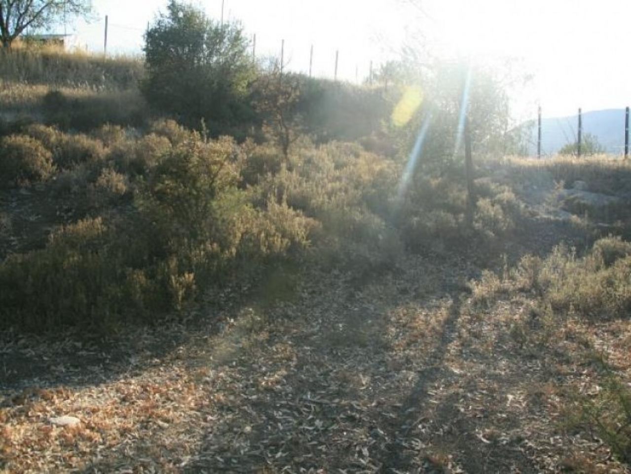 房产 9598 Mitsero, 尼科西亚 / L-65694