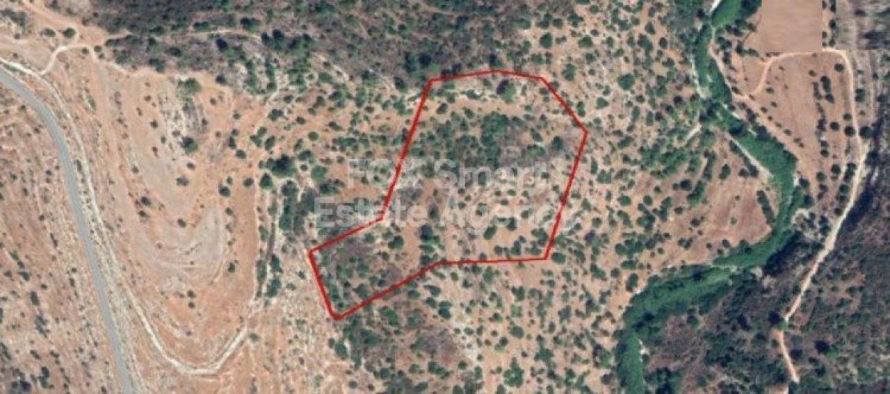 Property 32037 Μοναγκρί, Λεμεσός / LIM-PAF-5930