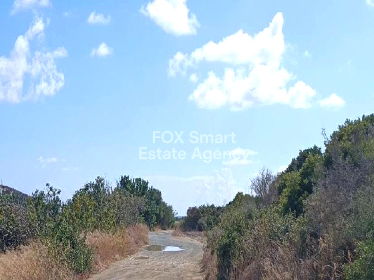 Thumbnail 2 Propiedad 4525 Moni, Limasol / LIM-PAF-32680