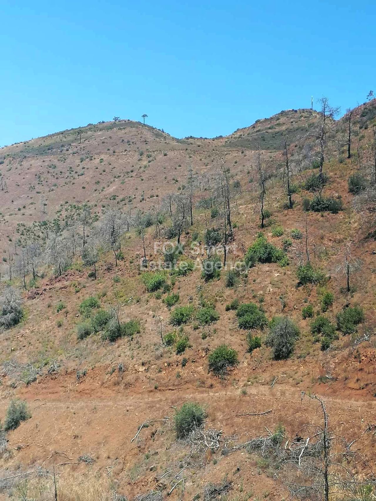 Thumbnail 1 Propiedad 4525 Moni, Limasol / LIM-PAF-32983