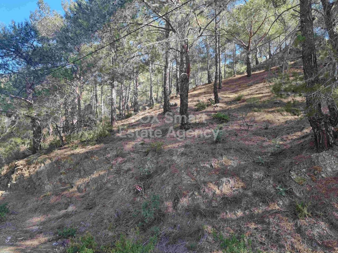 Bien immobilier 32335 Moniatis, Limassol / LIM-PAF-24503