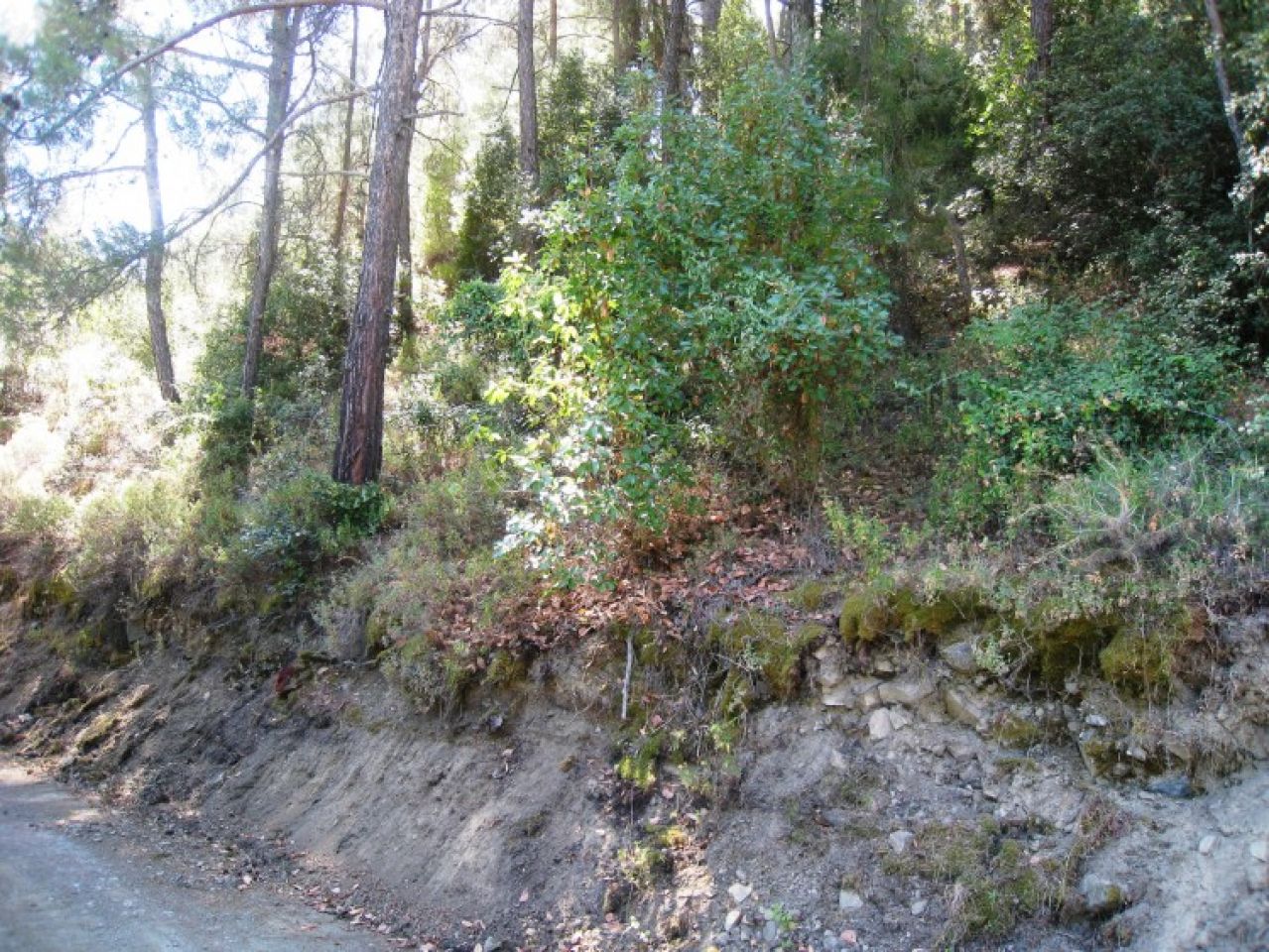 房产 10761 Moutoullas, 尼科西亚 / L-104245