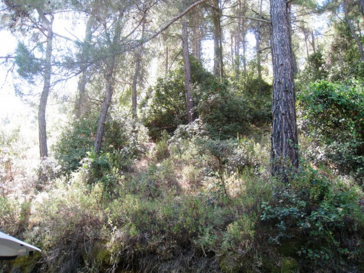 房产 10761 Moutoullas, 尼科西亚 / L-104245