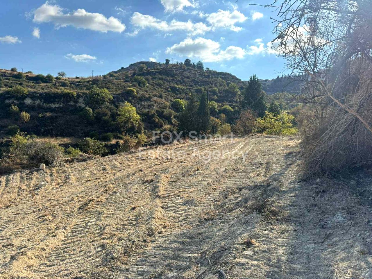 Propiedad 53959 Pachna, Limassol / LIM-PAF-31303