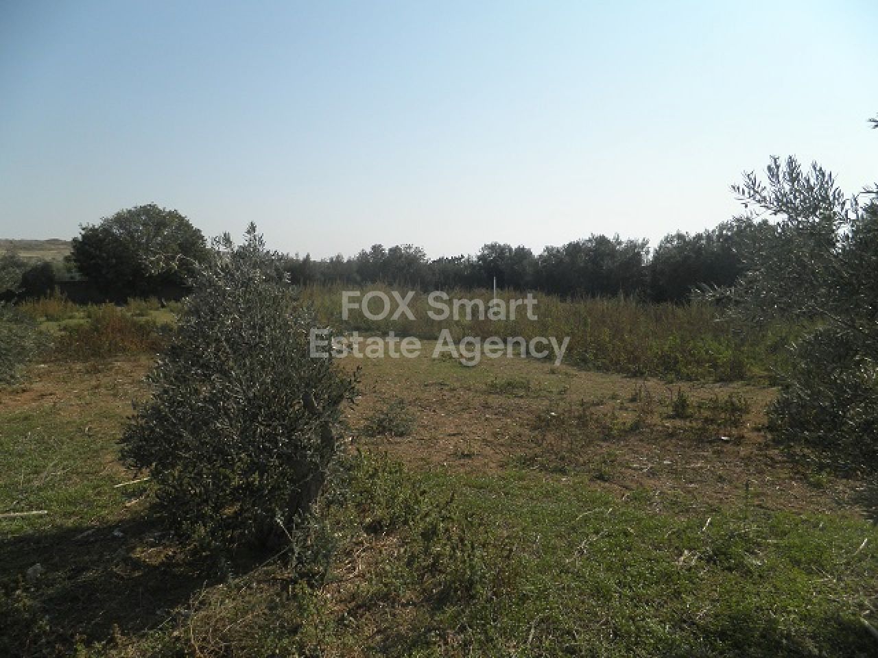 Thumbnail 5 Property 2682 Palaiometocho, Nicosia / L-120256