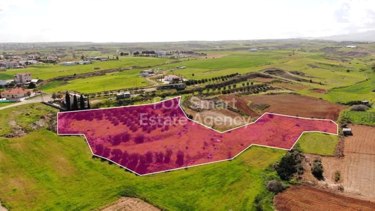 Bien immobilier 58607 Palaiometocho, Nicosie / 49842