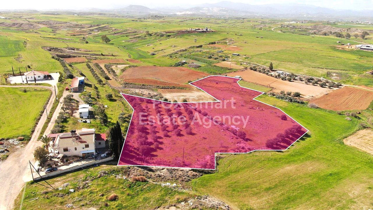 Bien immobilier 58607 Palaiometocho, Nicosie / 49842