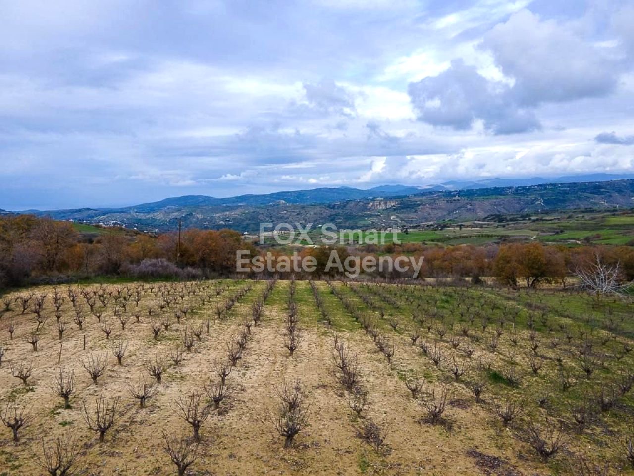 Thumbnail 6 Ακίνητα 8049 Πάφος / LIM-PAF-27880