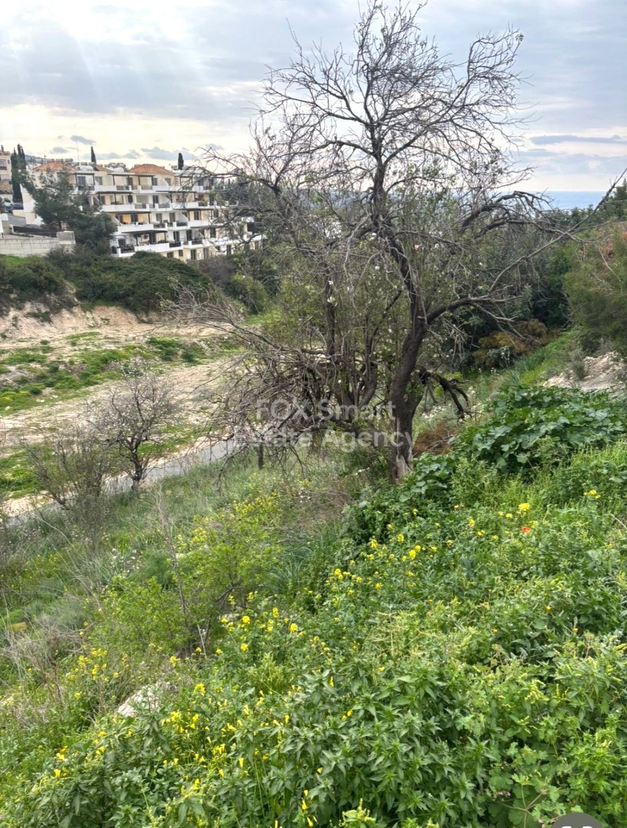 Thumbnail 6 Proprietà 8560 Pegeia, Paphos / LIM-PAF-31505