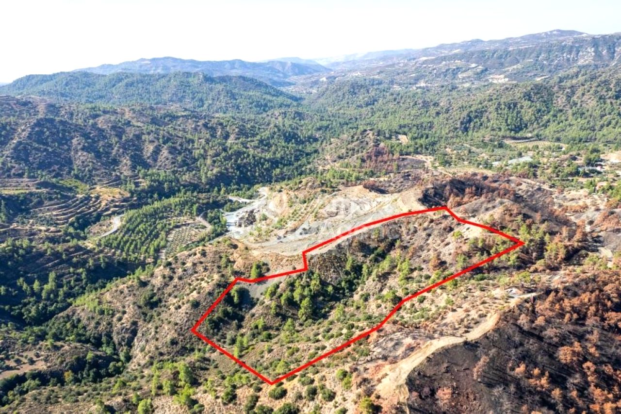 Thumbnail 3 房地产 4878 Pelendri, 利马索尔 / LIM-PAF-31118