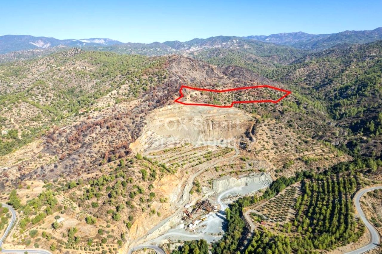 Thumbnail 1 房地产 4878 Pelendri, 利马索尔 / LIM-PAF-31118