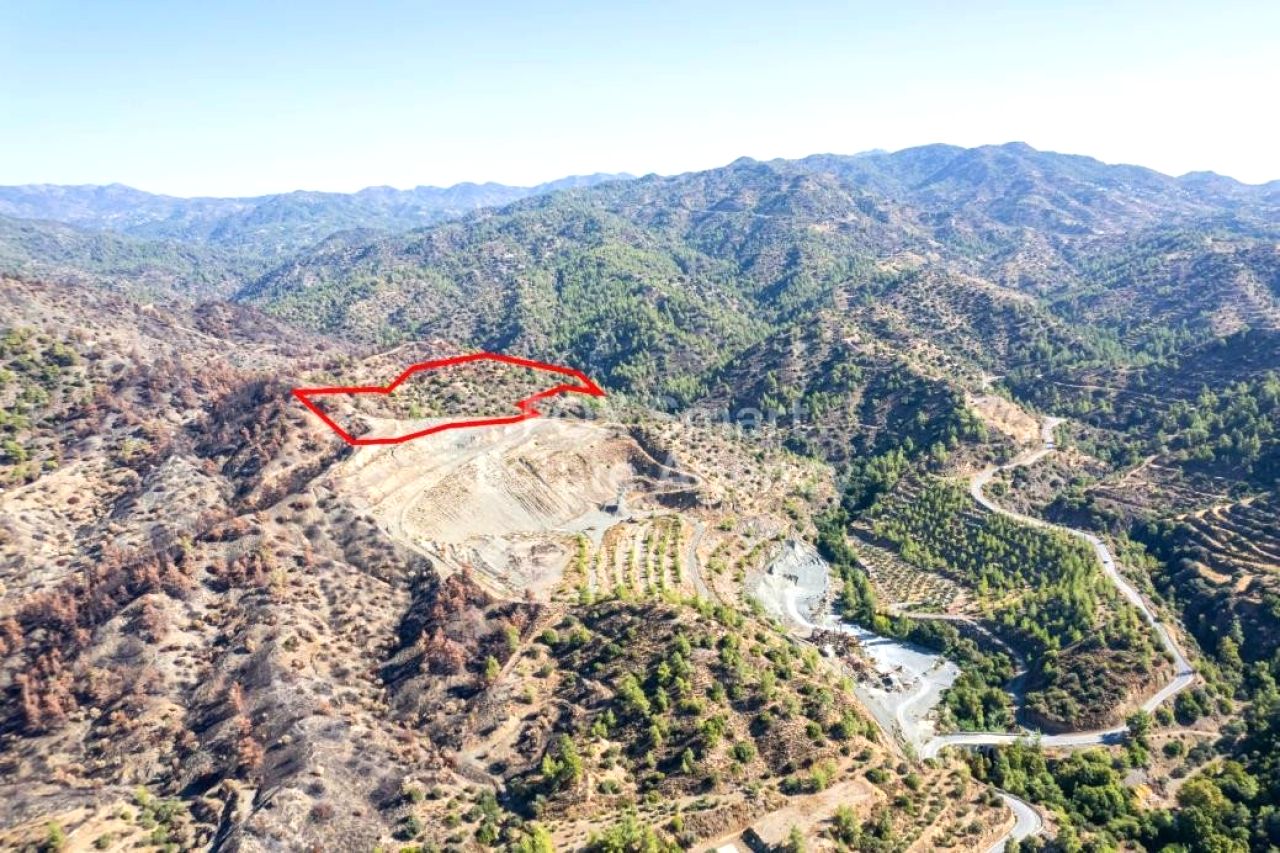 Thumbnail 2 房地产 4878 Pelendri, 利马索尔 / LIM-PAF-31118