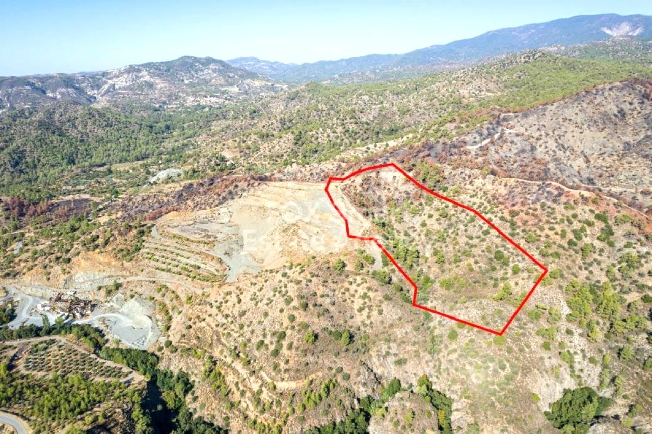 Thumbnail 4 房地产 4878 Pelendri, 利马索尔 / LIM-PAF-31118