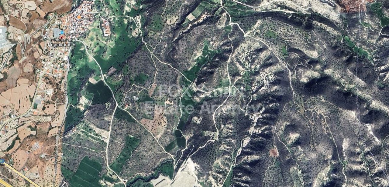 Immobilie 49407 Pentakomo, Limassol / LIM-PAF-29174