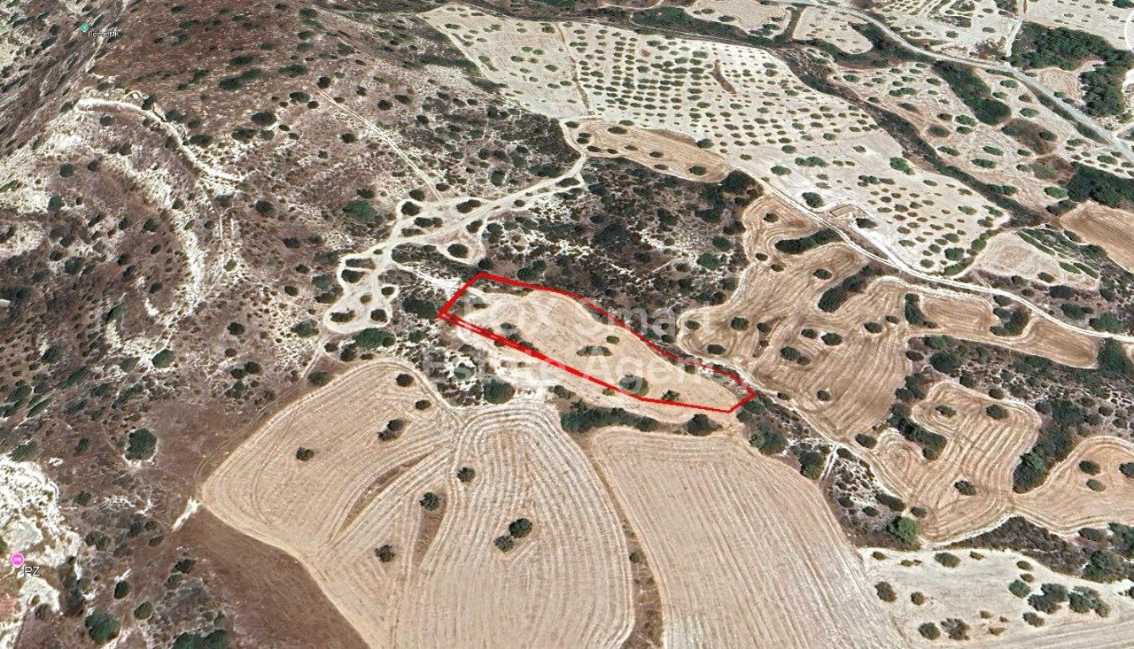 Thumbnail 1 Property 4528 Pentakomo, Limassol / LIM-PAF-31306