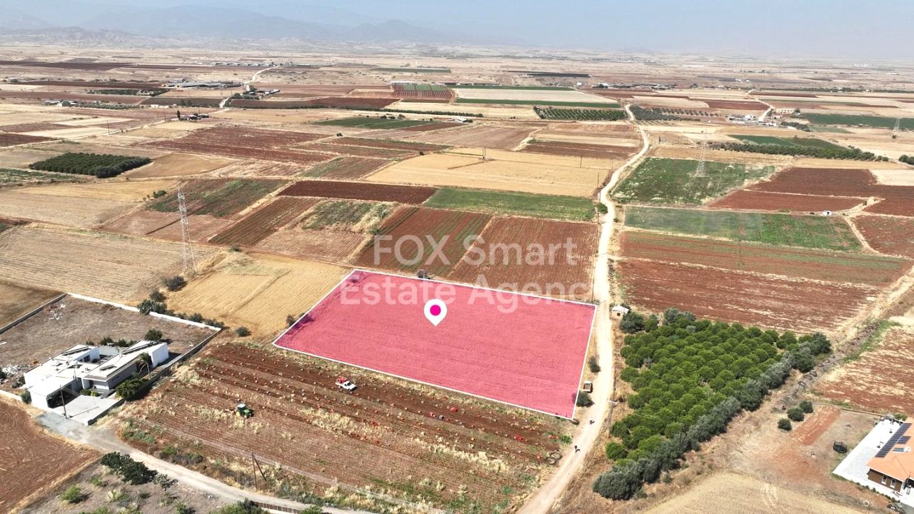 Ακίνητο 51495 Περιστερώνα, Λευκωσία / 43838