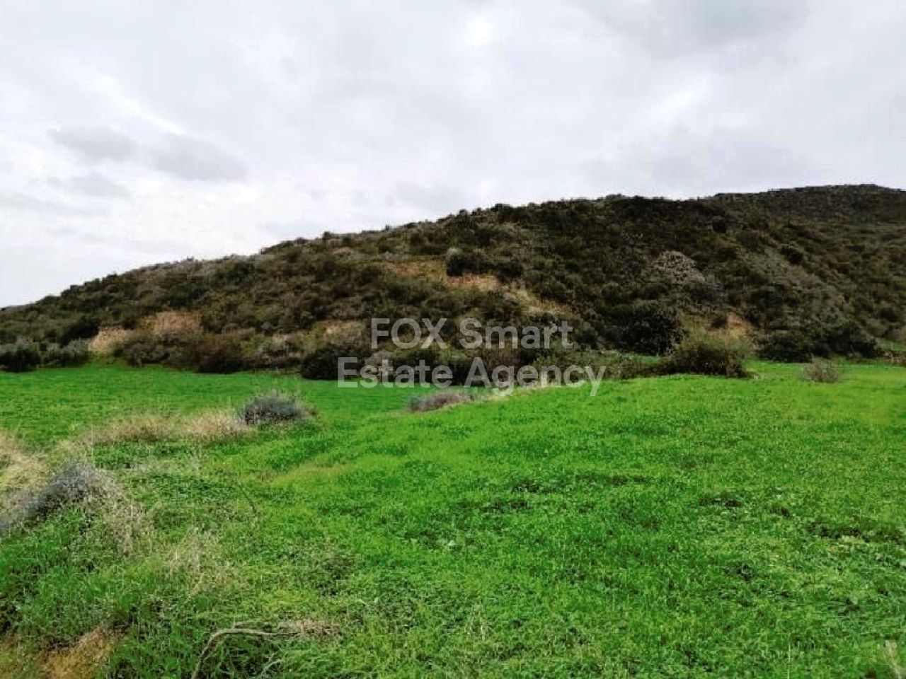 Propiedad 43220 Pissouri, Limassol / LIM-PAF-26596