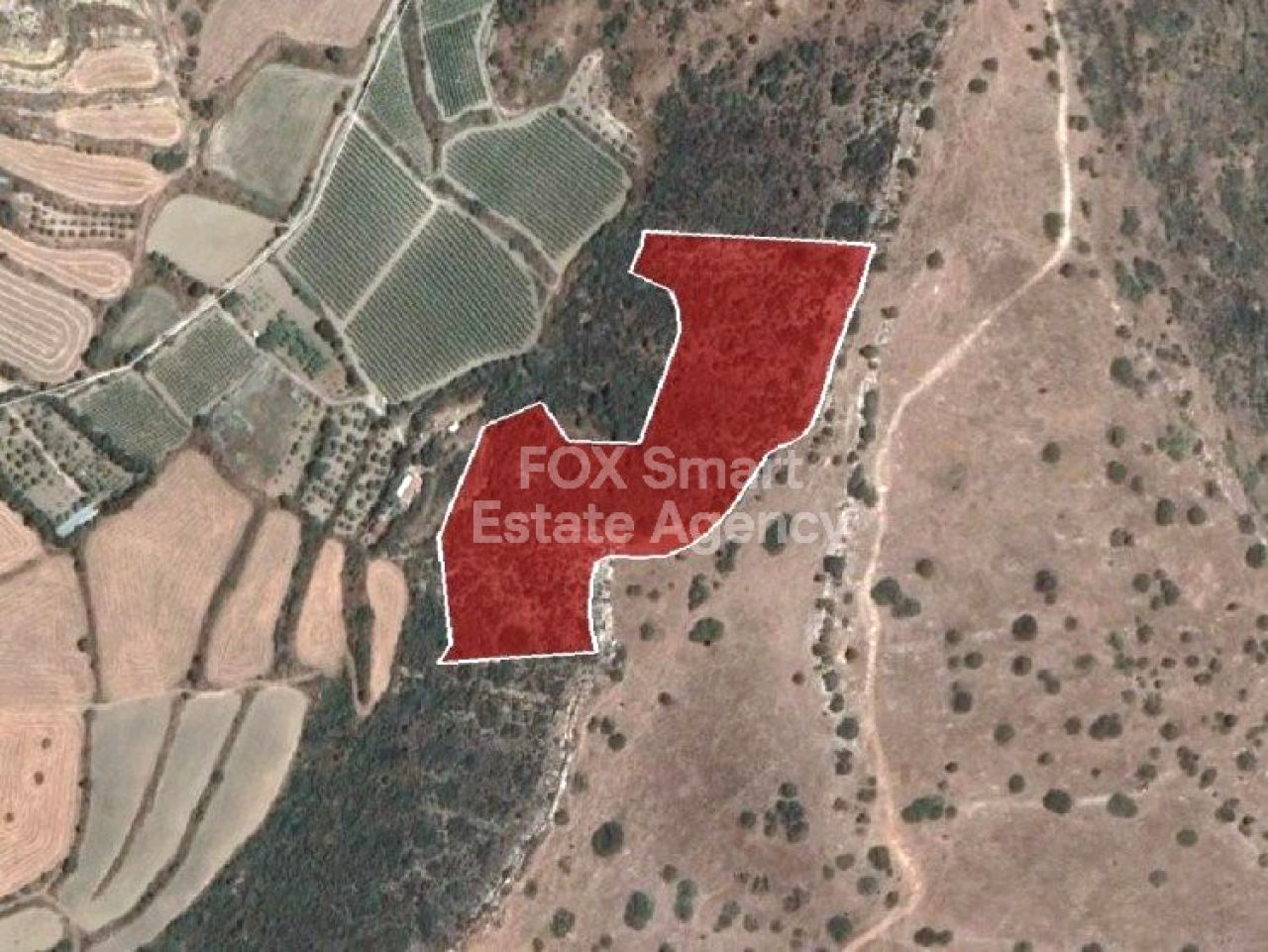 Bien immobilier 44643 Pissouri, Limassol / LIM-PAF-6975