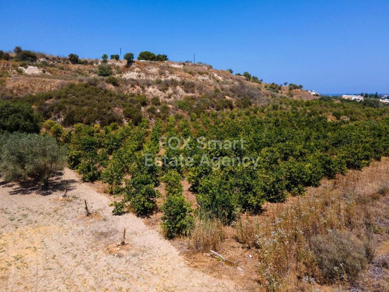 Thumbnail 4 EIGENTUM 8820 Polis, Paphos / LIM-PAF-L-103618