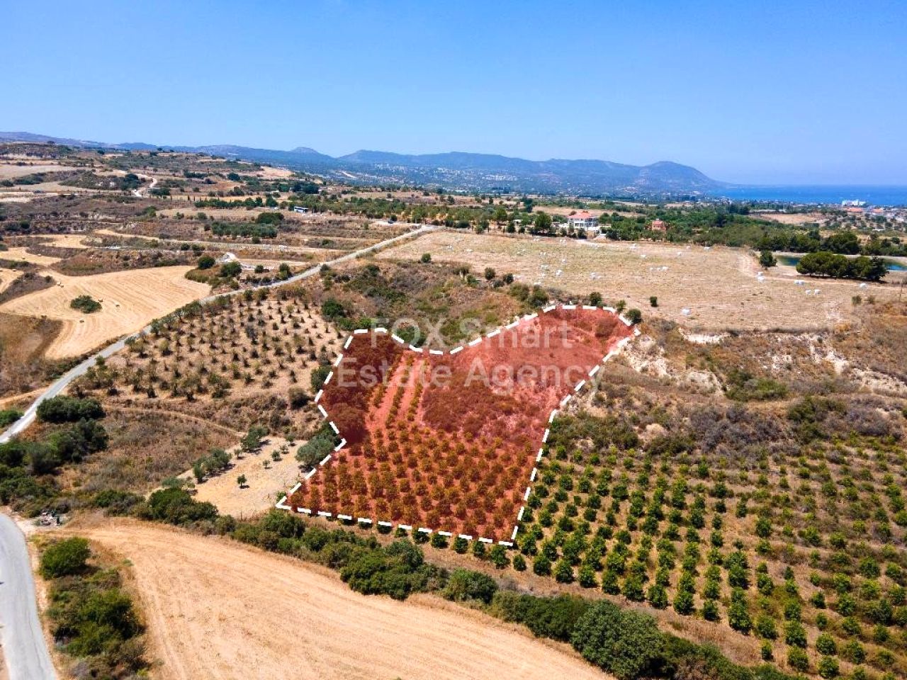 Thumbnail 2 EIGENTUM 8820 Polis, Paphos / LIM-PAF-L-103618